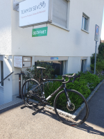 Wilier Triestina Garda