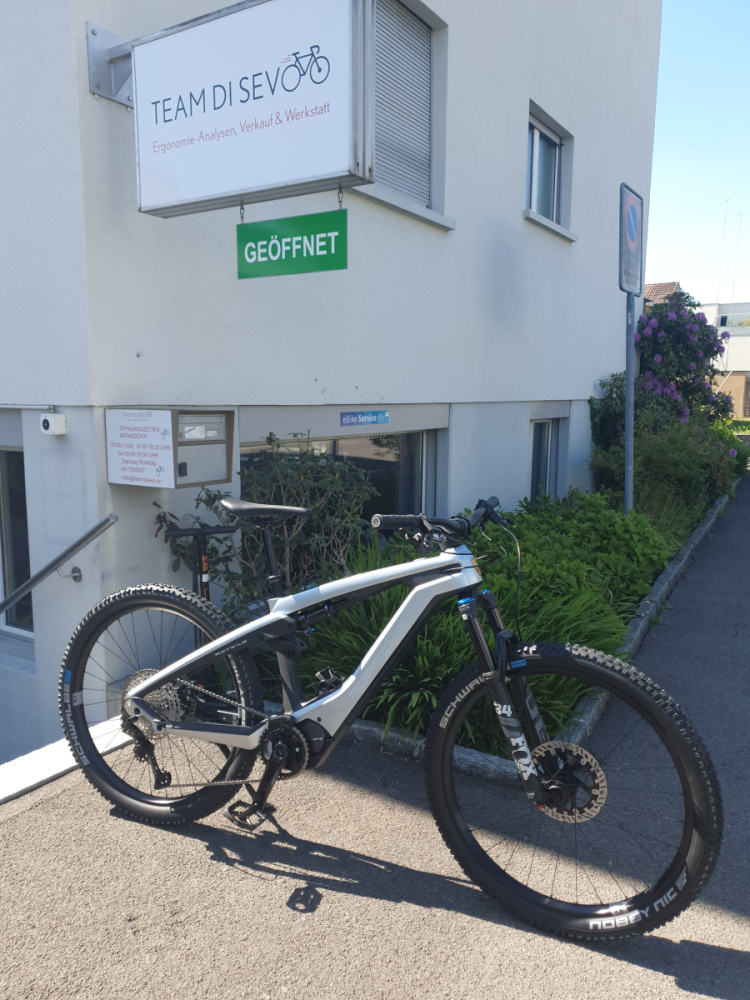 Porsche eBike Cross