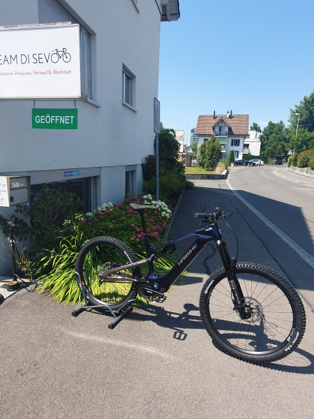 Haibike ALLMTN CF 10