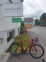 Wilier Triestina VERTICALE SLR