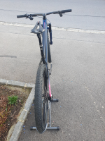 Ghost LECTOR WORLD CUP